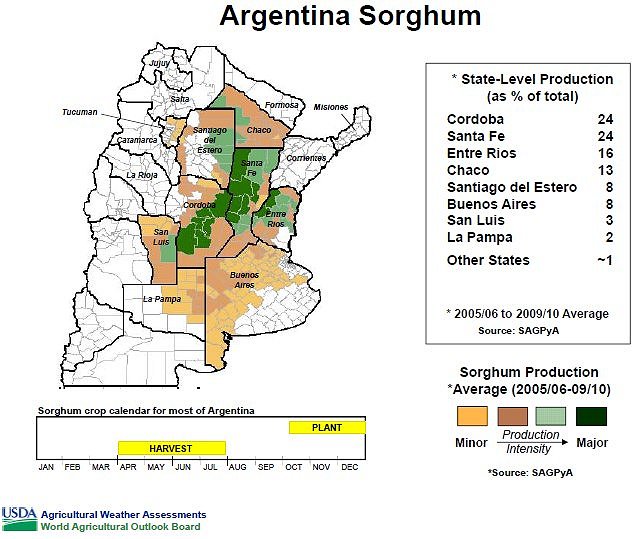Argentina_Sorghum